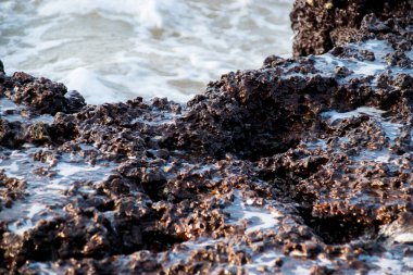 Okyanus kıyısındaki demir kaya