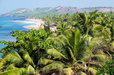 Anjuna Beach Kuzey Goa, Hindistan