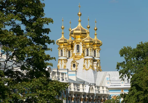 Domos Dorados Del Palacio Catalina Ciudad Pushkin Tsarskoye Selo Rusia —  Fotos de Stock