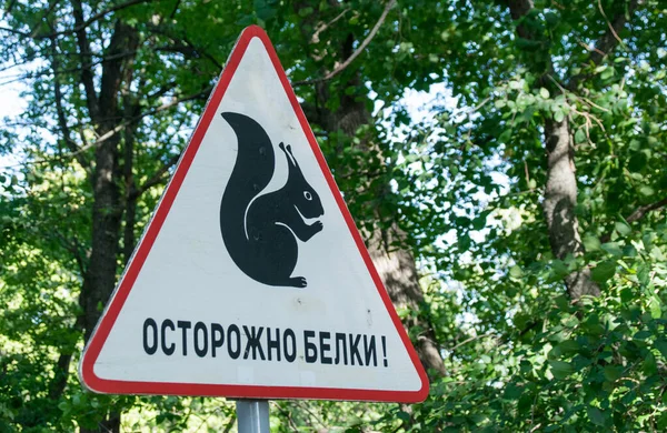 Het Bord Het Park Inscriptie Het Russisch Voorzichtigheid Eekhoorns — Stockfoto