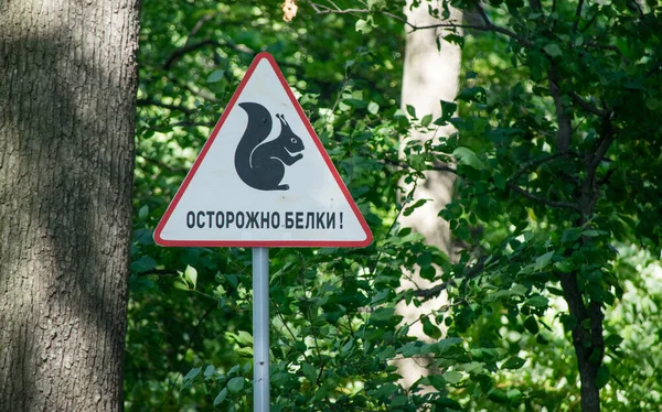 Знак Парку Напис Російською Обережно Білки — стокове фото