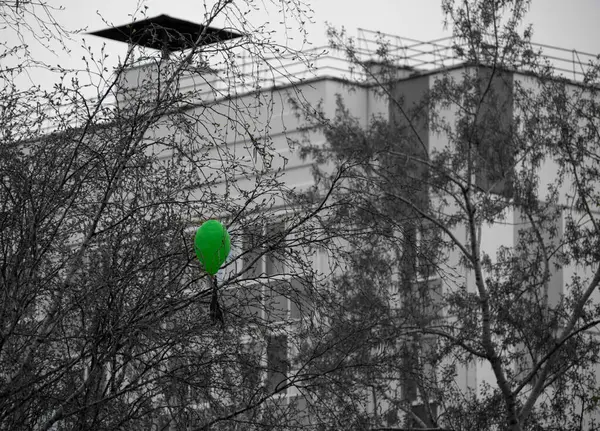 Ballon Vert Mélancolique Sur Fond Noir Blanc — Photo