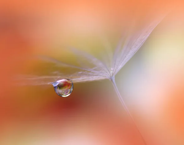 Hermoso Fondo Naturaleza Diseño Arte Floral Resumen Macro Photography Pastel — Foto de Stock