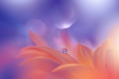 Güzel Makro Fotoğraf. Sihirli Çiçekler. Sınır Sanat Tasarımı. Sihirli Işık. Ekstrem Fotoğraf. Kavramsal Soyut Resim. Violet ve Mavi Arkaplan. Yaratıcı Duvar Kağıdı.