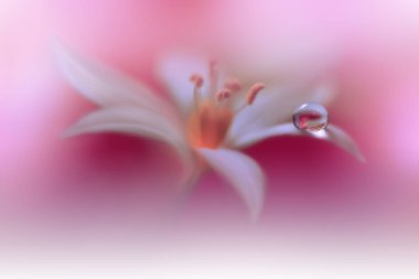 Beautiful Macro Photo.Magic Flowers.Border Art Design.Magic Light.Extreme Close up Photography.Conceptual Abstract Image.Violet and Red Background.Fantasy Art.Creative Wallpaper.Beautiful Nature Background.Amazing Spring Flower.Water Drop.Copy Space.