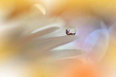 Beautiful Macro Photo.Magic Flowers.Border Art Design.Magic Light.Close up Photography.Conceptual Abstract Image.Yellow and Orange Background.Fantasy Art.Creative Wallpaper.Beautiful Nature Background.Amazing Spring Flower.Water Drop.Copy Space.Gold.