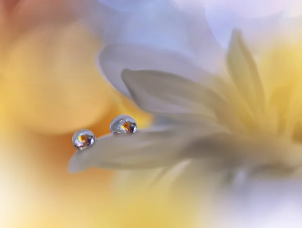 Beautiful Macro Photo Colorful Flowers Art Design Magic Light Close — 스톡 사진