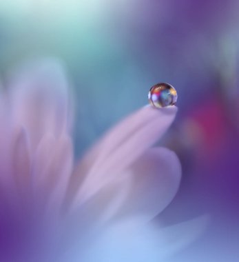 Güzel Macro Fotografı. Renkli Çiçekler. Sanat Tasarımı. Sihirli Işık. Fotoğrafı kapat. Kavramsal Soyut Resim. Beyaz ve Mavi Arkaplan. Fantezi Çiçek Sanatı. Yaratıcı Duvar Kağıdı..