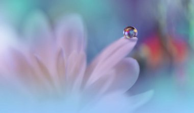 Güzel Macro Fotografı. Renkli Çiçekler. Sanat Tasarımı. Sihirli Işık. Fotoğrafı kapat. Kavramsal Soyut Resim. Beyaz ve Mavi Arkaplan. Fantezi Çiçek Sanatı. Yaratıcı Duvar Kağıdı..