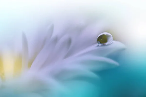 Beautiful Macro Photo Colorful Flowers Art Design Magic Light Close — Stok fotoğraf
