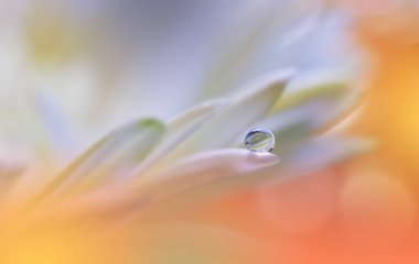 Güzel Macro Fotoğrafı. Rüya Çiçekleri. Sanat Tasarımı. Sihirli Işık. Fotoğraf: Kavramsal Soyut Resim. Sarı ve Turuncu Arkaplan. Fantezi Sanat. Yaratıcı Duvar Kağıdı..