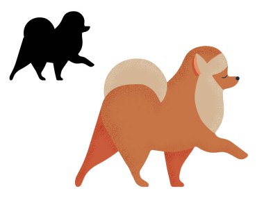 Çizgi film ve Taslak 'ta Pomeranya Spitz Dog Breed