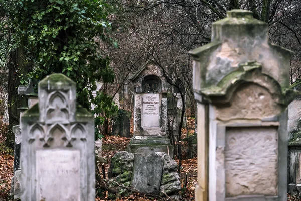 Old Graves on Saint Marx Cemetery — Stok fotoğraf