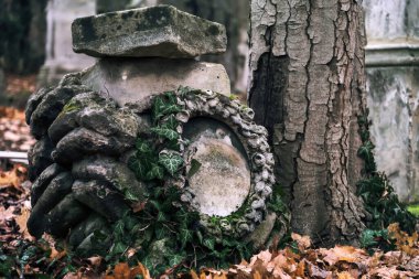 26 Aralık 2017 - Viyana, Avusturya. Terk edilmiş mezarlıkta sarmaşıkla kaplı kırık bir mezar. Terk edilmiş Saint Marx mezarlığındaki antik mezar taşı.