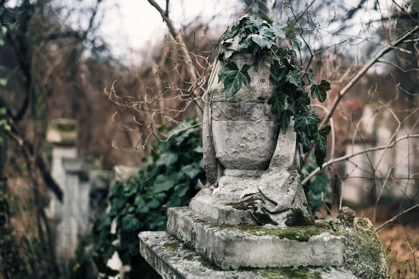 2017年12月26日 オーストリア ウィーン 古い放棄された墓地のツタで覆われた花瓶を燃やす 見捨てられた聖マルクス墓地の古代の墓石に葬儀 — ストック写真