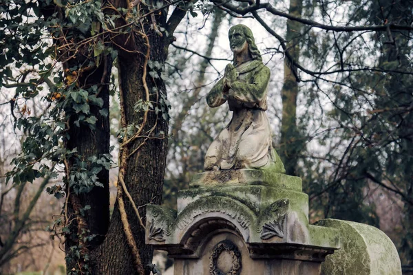 Prosince 2017 Vídeň Rakousko Starověké Hřbitovní Hrobky Náhrobní Kameny Hřbitově — Stock fotografie
