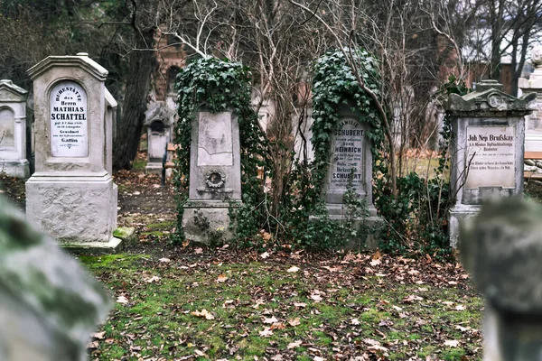 Prosince 2017 Vídeň Rakousko Staré Hřbitovní Hrobky Náhrobky Zarostlé Břečťanem — Stock fotografie