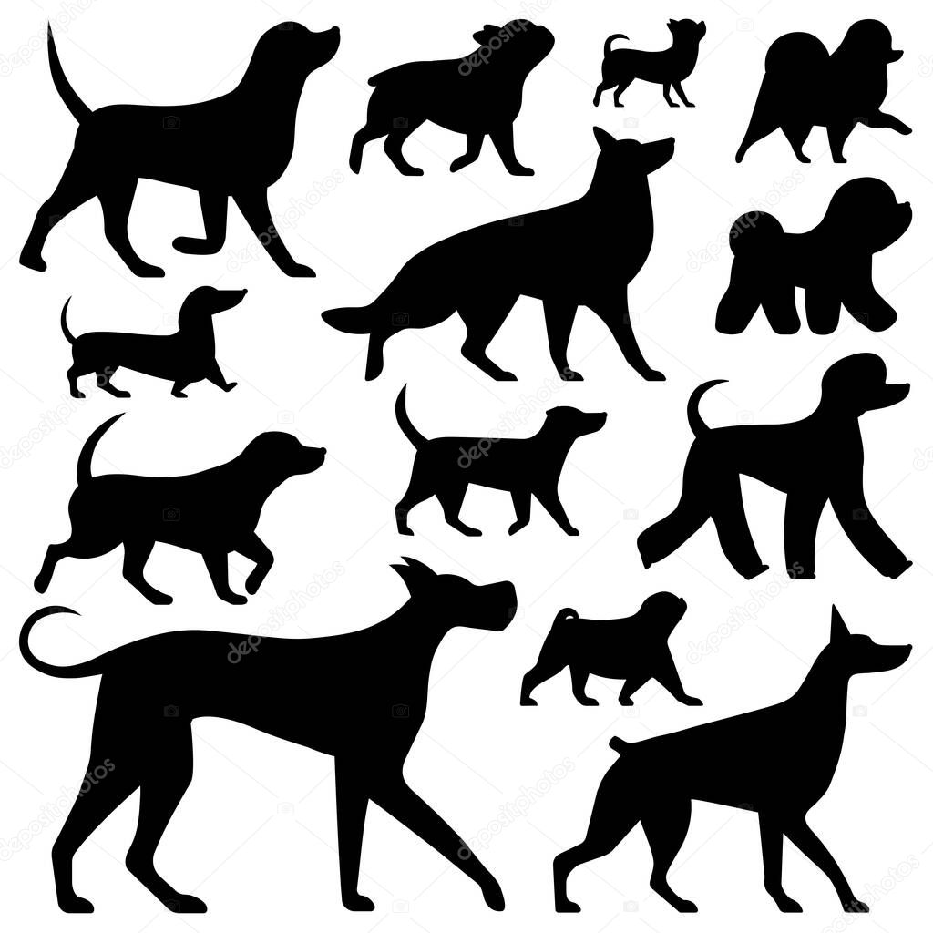 Popular dog breeds silhouettes. Collection of big and small puppies. Different types of dogs in outline style. Such as pug, poodle, German shepherd, bulldog, doberman, Labrador, dachshund and beagle.
