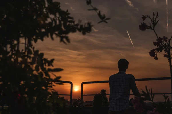 Silhouette of man watching sunset on urban rooftop garden. Male standing on apartment balcony terrace and looking at city at sunset. Person enjoys evening on skyscraper green roof during dawn.