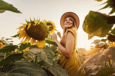 Sarı elbiseli ve hasır şapkalı genç kadın gün batımında çiçek açan ayçiçeği tarlasında eğleniyor. Sarı çiçeklerin arasında duran yarım dönüşümlü kız. Gamzeli mutlu bir kadın. Güneşli yaz çiçek tarlasında gülümsüyor..