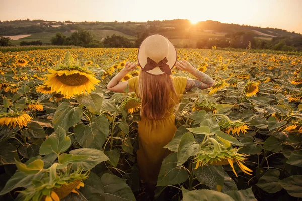 Back view of tattooed woman in yellow dress and straw hat with bow standing among blooming sunflowers. Girl looking at blooming flowers at sunset. Young woman enjoying in sunny summer flower field.