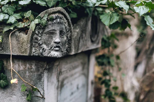 December 2017 Vienna Austria Old Engraved Tombstone Abandoned European Graveyard — Stock fotografie