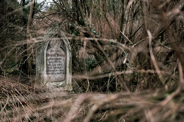 December 2017 Vienna Austria Abandoned Cemetery Tomb Old Gravestone Saint — 스톡 사진