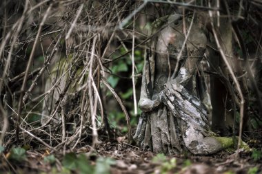 December, 26, 2017 - Vienna, Austria. Woman statue without head on abandoned tomb in old european graveyard. Damaged sculpture covered with vines, mold and lichen in deserted Saint Marx Cemetery.