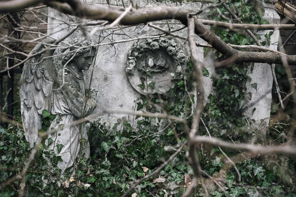 December 2017 Vienna Austria Angel Grief Old European Graveyard Sculpture — Stock Photo, Image