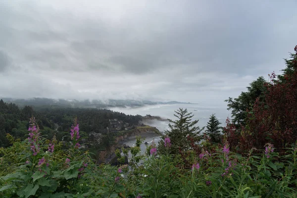 Majestosas Vistas Bela Costa Oregon Uma Manhã Nublada Típica — Fotografia de Stock
