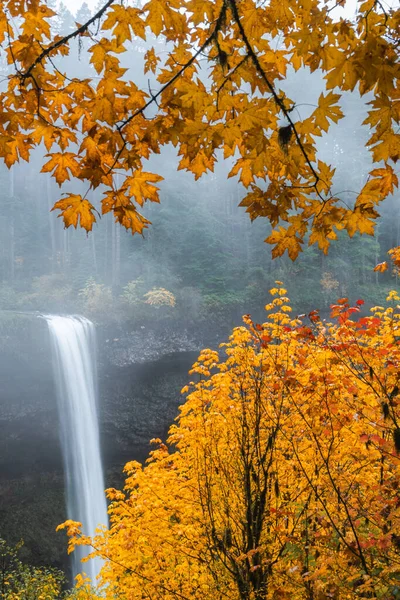 Waterfall Autumn Foliage Oregon — Stock Photo, Image