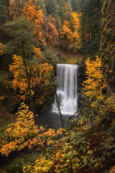 Schöner Fließender Wasserfall Herbstlichen Wald — Stockfoto