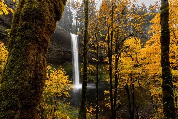 Schöner Wasserfall Und Lebendiges Herbstlaub Goldfarbenen Herbstwald — Stockfoto