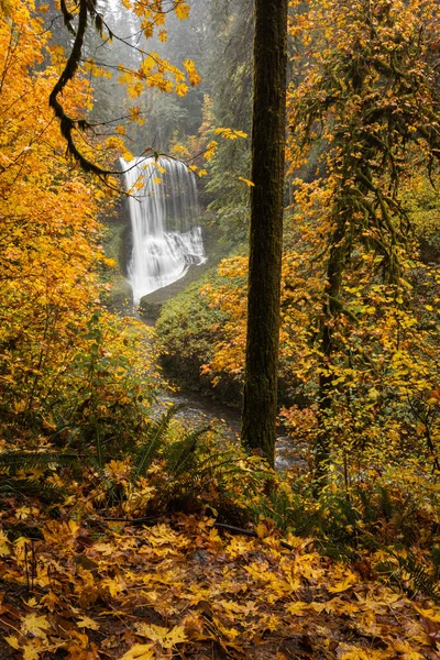 Fall Leaves Foliage Surrounding Beautiful Waterfall Autumn Forest Oregon — Stock Photo, Image