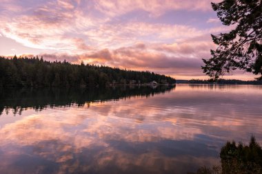 Canlı rengarenk gündoğumu gökyüzü su ve orman üzerine yansıyor, Puget Sound, Washington