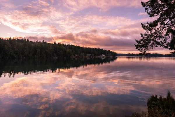 Lebendig Farbenfrohe Reflexionen Des Sonnenaufgangs Über Wasser Und Wald Puget — Stockfoto