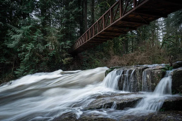 Bäck Skogen Rinner Vandringsbron — Stockfoto