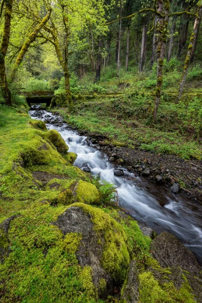 Rivière Qui Coule Travers Les Rochers Dans Forêt — Photo