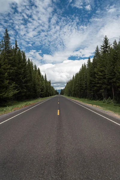 Long Road Mountain Forest Central Oregon Cascade Lakes Wilderness Highway — Stock Photo, Image