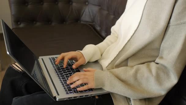 Bir kız kafede dizüstü bilgisayarda çalışıyor. — Stok video