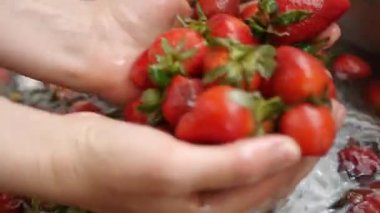 Close-up of washing berries. Female hands mixing and taking out of the water fresh strawberries in stainless steel sink.