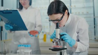 portrait scientists in the modern laboratory research and testing of cultured meat