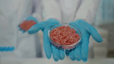 a close-up selected focus petri dish artificial cultured meat
