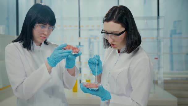 Portrait Two Young Female Scientists Holding Petri Dishes Cultured Meat — Αρχείο Βίντεο