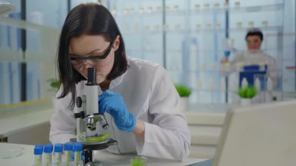 Close Modern Laboratory Plant Research Portrait Woman Scientist Microscope Looks — Vídeo de Stock