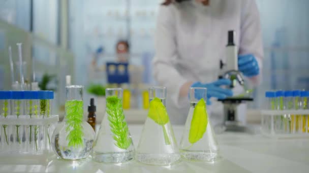 Close Plants Test Tubes Microbiology Research Scientist Dressing Gown Looks — Video