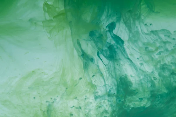 Green paint in the water. ink in fluid. colorful splashes in liquid. abstract background