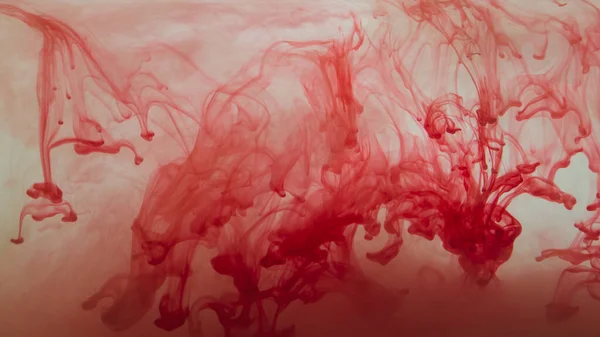 Encre Rouge Dans Eau Fond Abstrait Éclaboussures Peinture Dans Liquide — Photo
