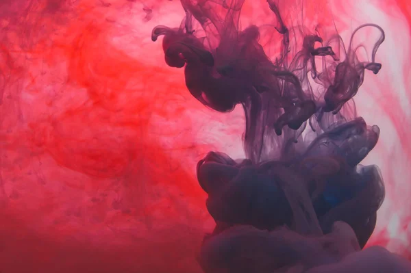 Suda boya var. Sıvı mürekkep. Soyut arkaplan. Sıvı içinde renkli sıçramalar. kırmızı ve mavi renkler