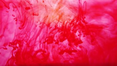 Suyun arka planında kırmızı mürekkep var. Sıvıdaki boya girdapları